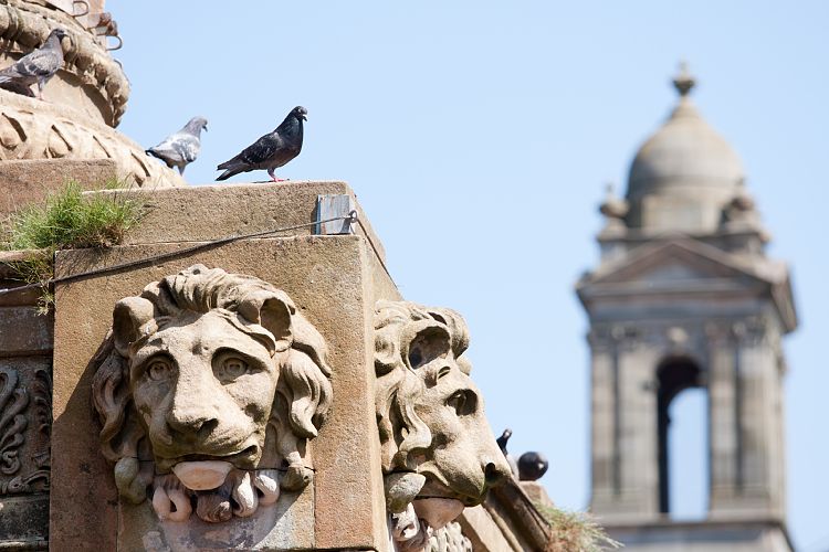 Glasgow George Square (Schottland - Lesmahagow - Edinburgh)