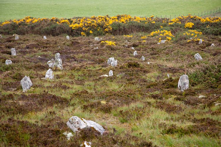 Hill of Many Stanes (Schottland - Die Nordostkste)
