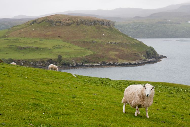 Isle of Skye (Schottland - Isle of Skye)