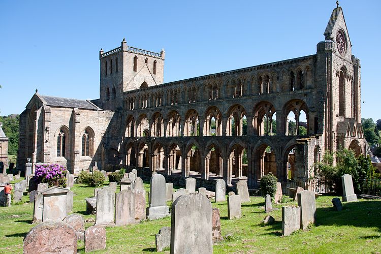 Jedburgh Abbey (Schottland - Border Abbeys)