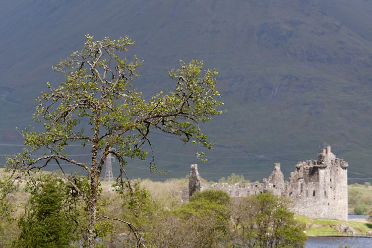 Kilchurn Castle (Schottland - Loch Lomond - Loch Ness)