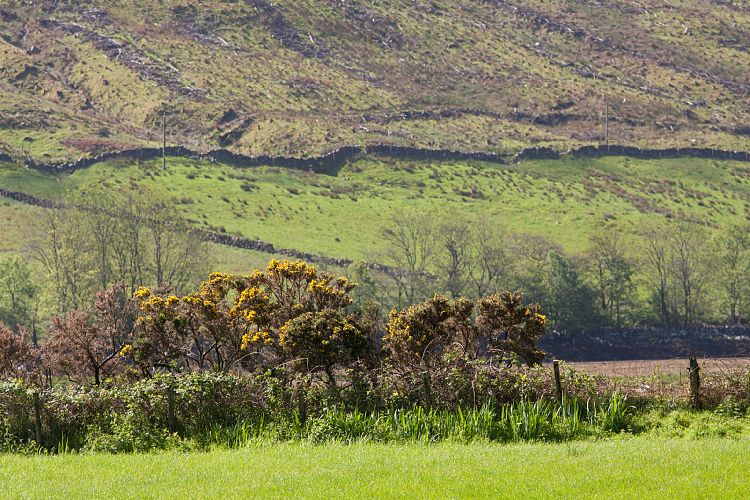 Loch Fyne (Schottland - Loch Lomond - Loch Ness)
