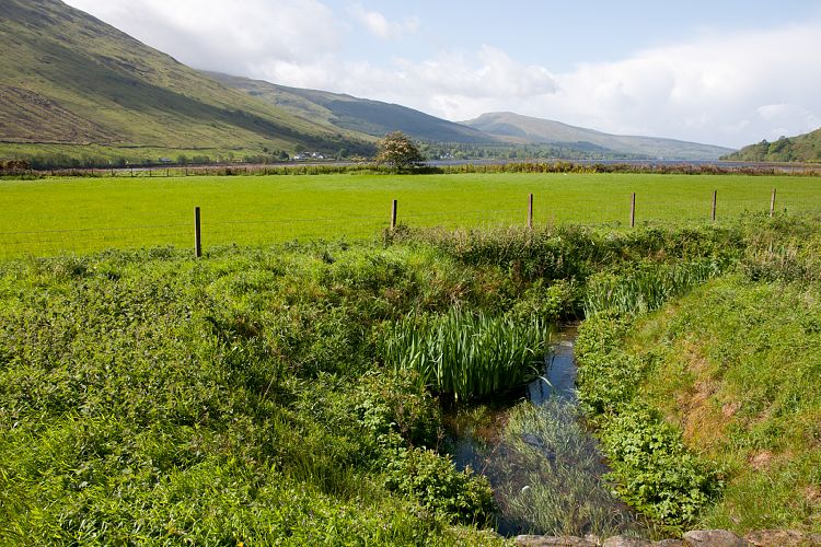 Loch Fyne (Schottland - Loch Lomond - Loch Ness)