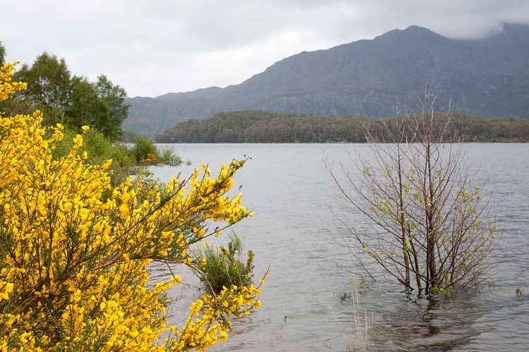 Loch Maree (Schottland - Isle of Skye - Laide)