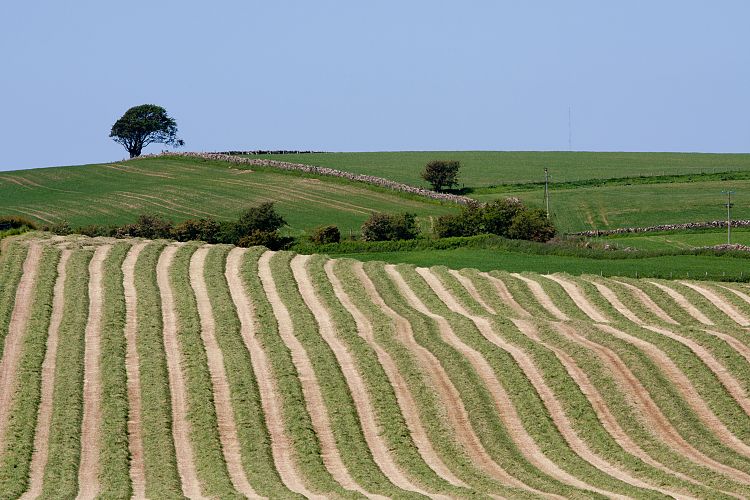 Maybole (Schottland - Lesmahagow - Edinburgh)