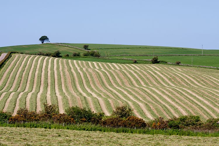 Maybole (Schottland - Lesmahagow - Edinburgh)