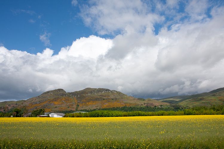Ochil Hills (Schottland - Edinburgh - Stirling)