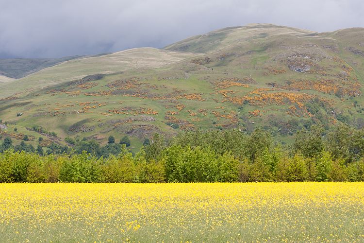 Ochil Hills (Schottland - Edinburgh - Stirling)