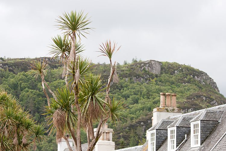Plockton (Schottland - Isle of Skye - Laide)