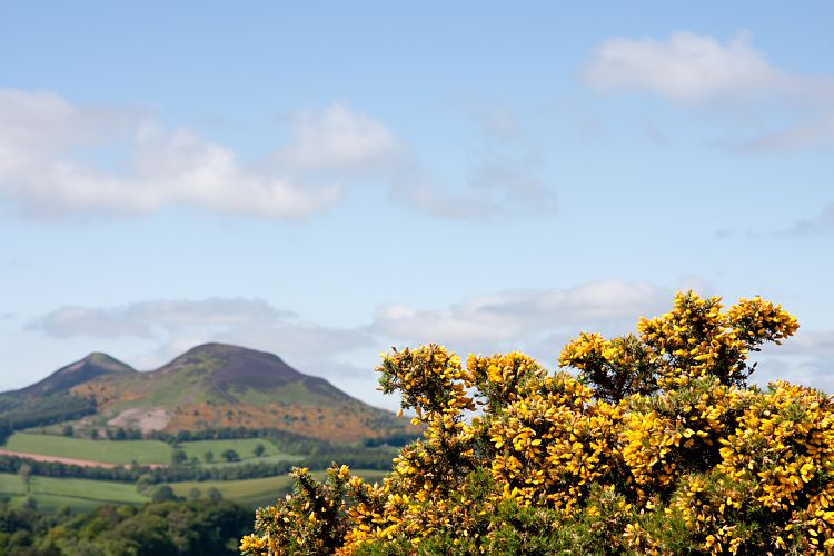 Scott's View (Schottland - Border Abbeys)
