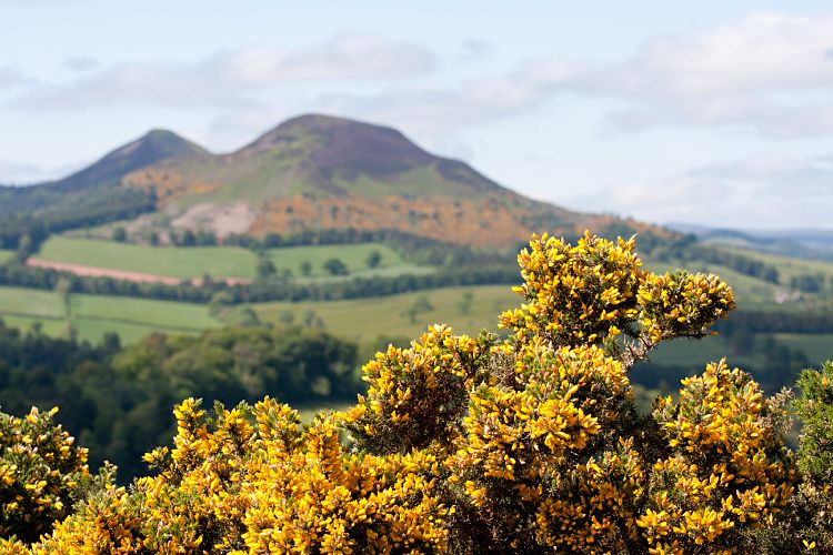 Scott's View (Schottland - Border Abbeys)