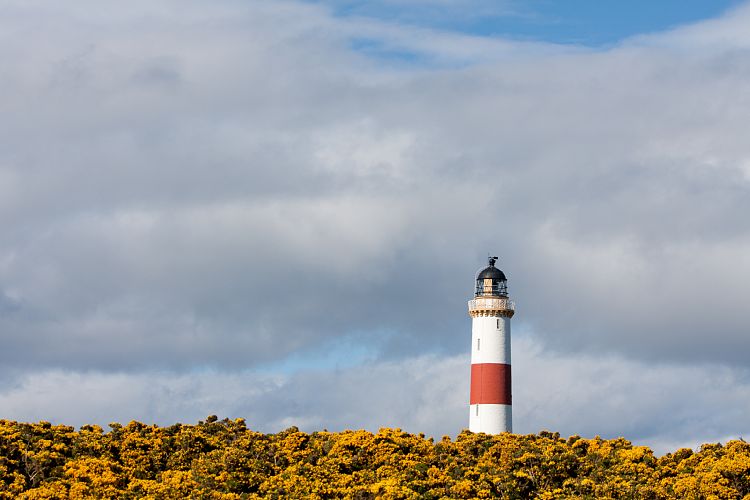 Tarbat Ness (Schottland - Die Nordostkste)