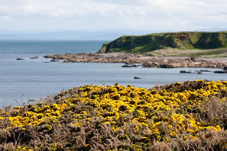 Tarbat Ness (Schottland - Die Nordostkste)