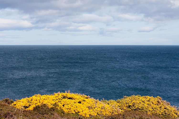 Tarbat Ness (Schottland - Die Nordostkste)