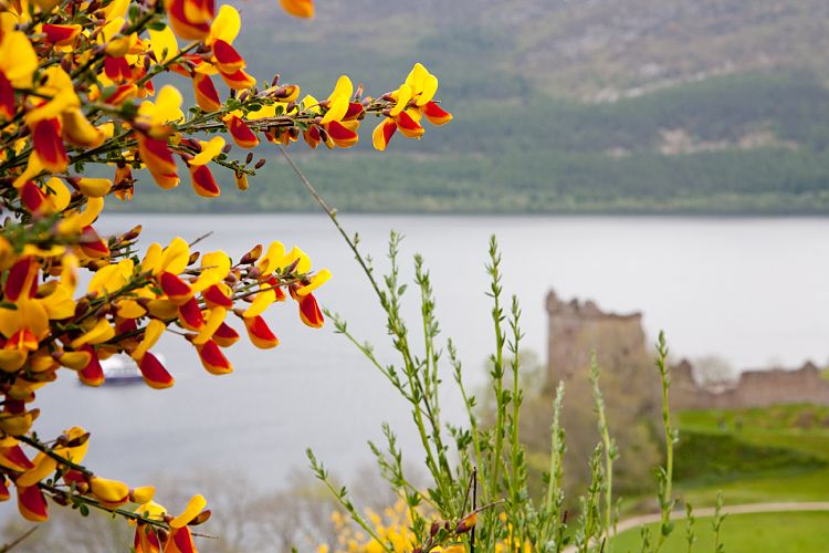 Urquhart Castle (Schottland - Loch Ness - Isle of Skye)