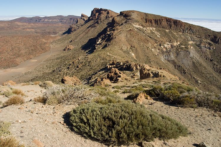 Aufstieg (Teneriffa - Guajara)