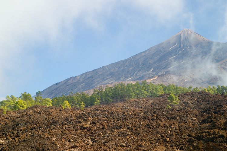 Bei Cueva de Samara (Teneriffa - Der Nordwesten)