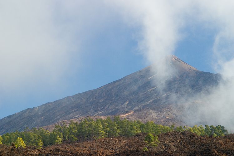 Bei Cueva de Samara (Teneriffa - Der Nordwesten)