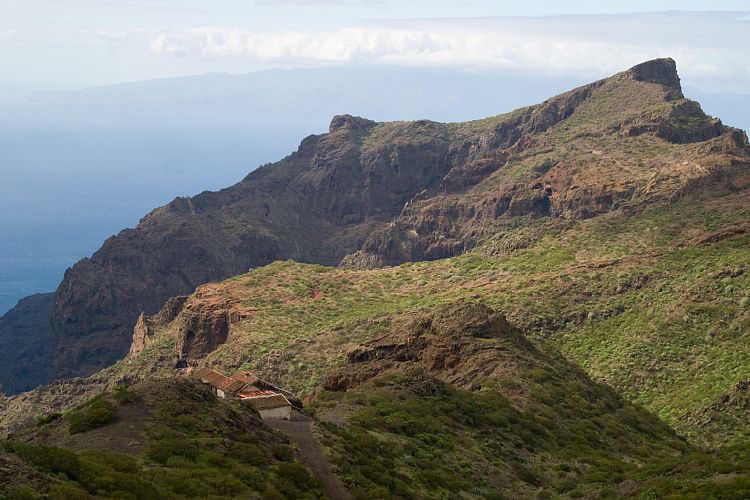 Bei Masca (Teneriffa - Der Nordwesten)