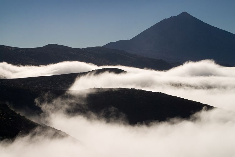 Bei Montana de la Negra (Teneriffa - Der Nordwesten)