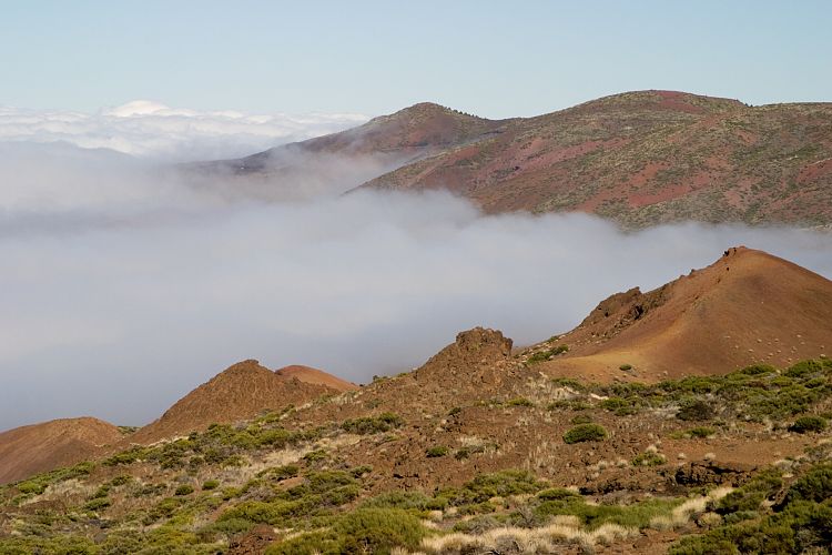 Beim Observatorium (Teneriffa - Der Nordwesten)