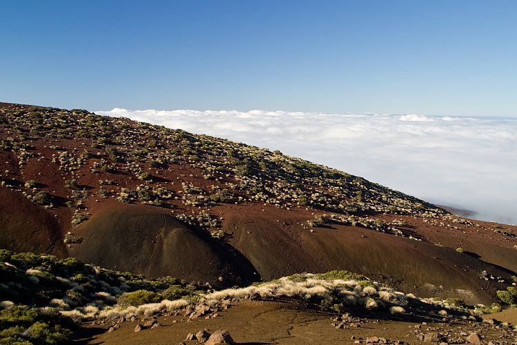 Beim Observatorium (Teneriffa - Der Nordwesten)