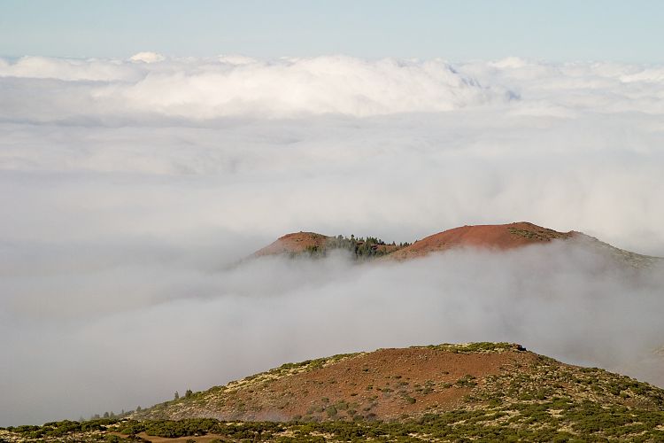 Beim Observatorium (Teneriffa - Der Nordwesten)
