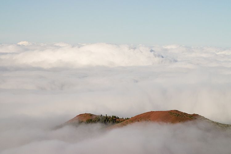 Beim Observatorium (Teneriffa - Der Nordwesten)
