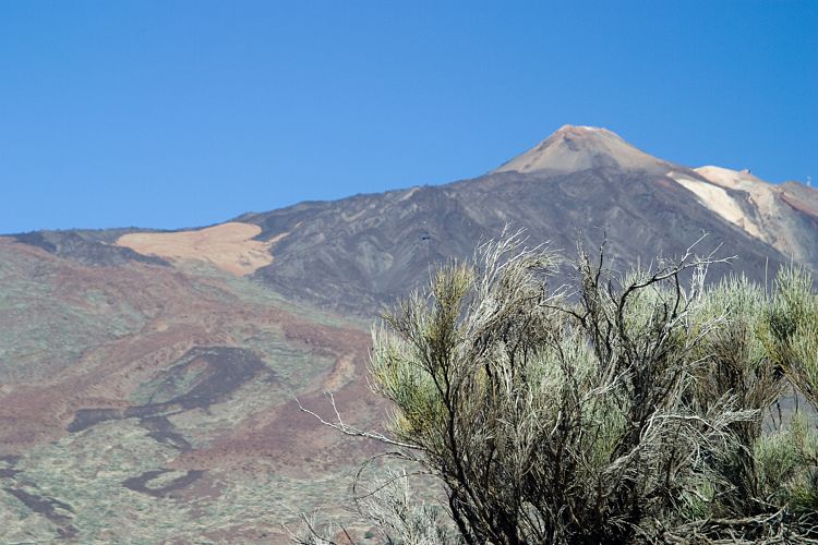 Boca de Tauce (Teneriffa - Der Nordwesten)