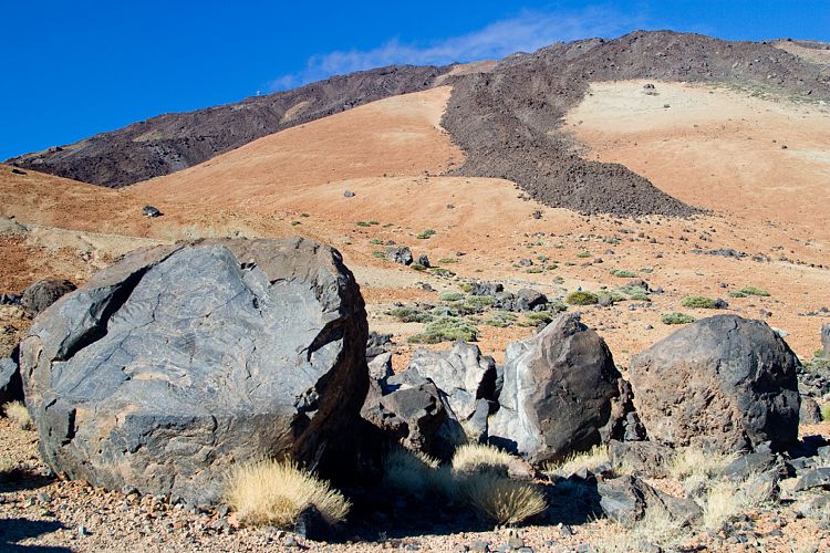 Huevos del Teide (Teneriffa - Teide)
