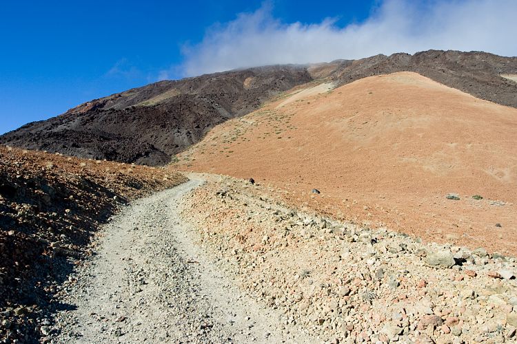 Huevos del Teide (Teneriffa - Teide)