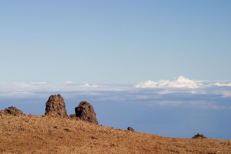 Huevos del Teide (Teneriffa - Teide)