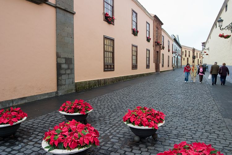 La Laguna (Teneriffa - Ostkste)