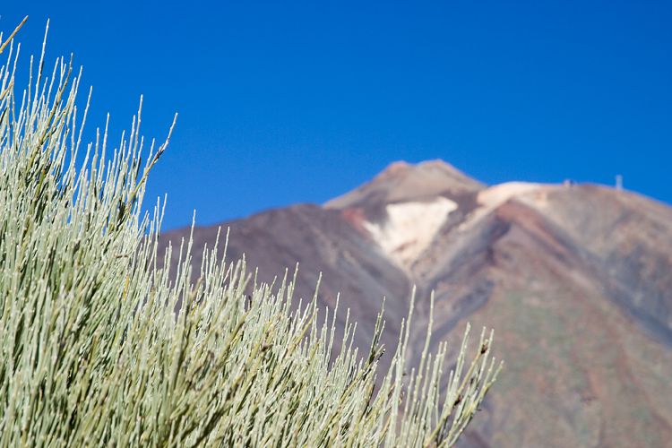 Los Roques de Garcia (Teneriffa - Canadas)