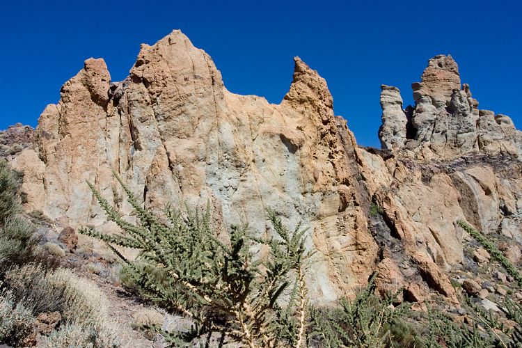 Los Roques de Garcia (Teneriffa - Canadas)