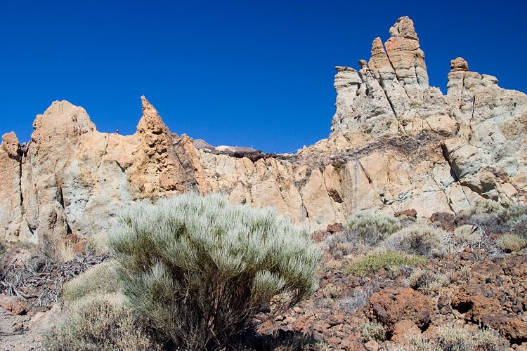 Los Roques de Garcia (Teneriffa - Canadas)