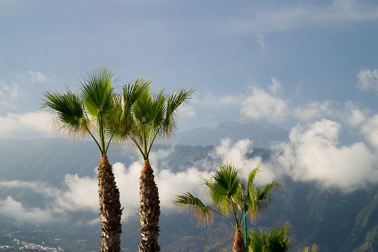 Puerto de la Cruz (Teneriffa - Loro Parque und Teno)