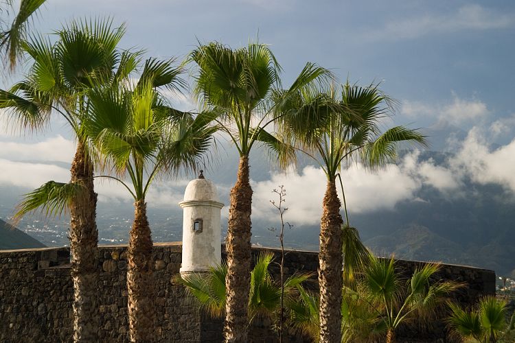 Puerto de la Cruz (Teneriffa - Loro Parque und Teno)
