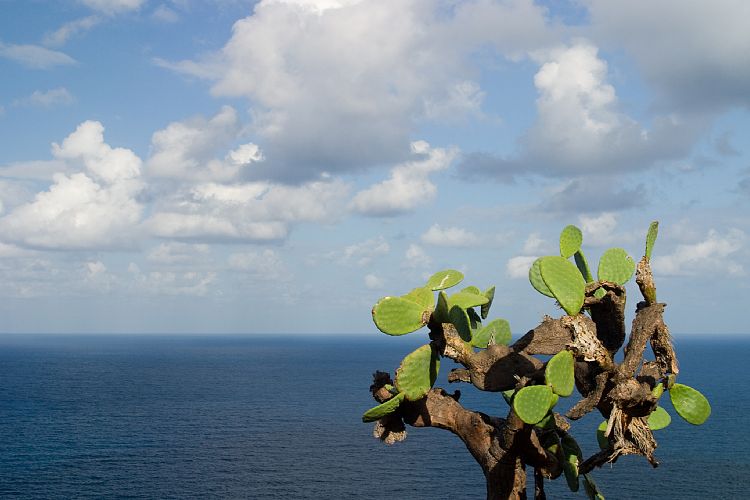 Roque del Dentro (Teneriffa - Der Nordosten)