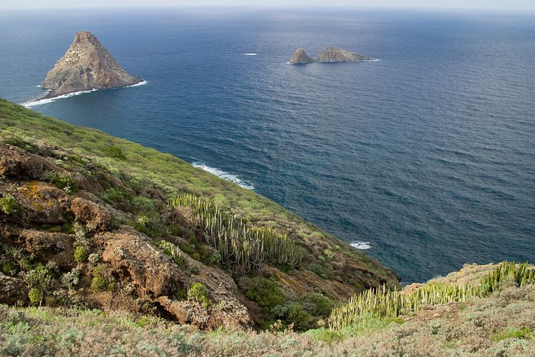 Roque del Dentro (Teneriffa - Der Nordosten)