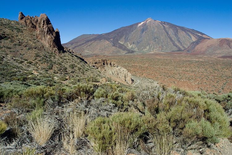 Weg Canadas (Teneriffa - Guajara)