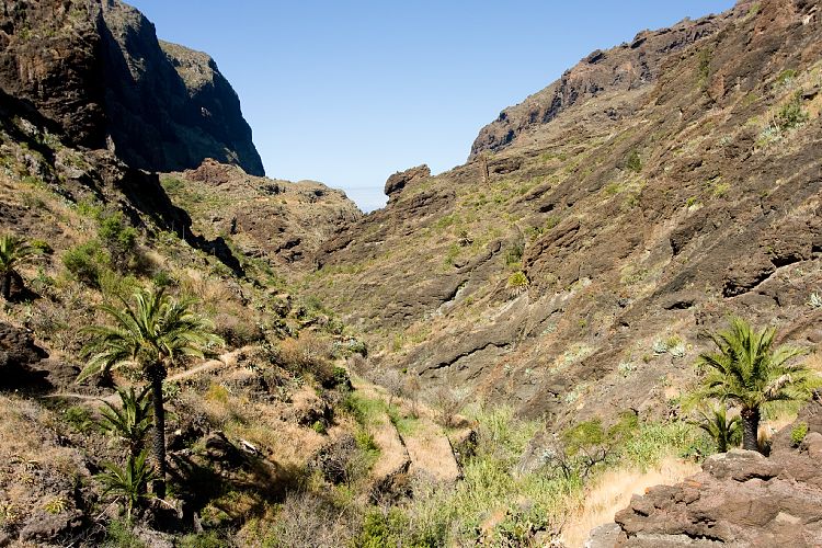 Barranco de Masca (Teneriffa - Barranco de Masca)