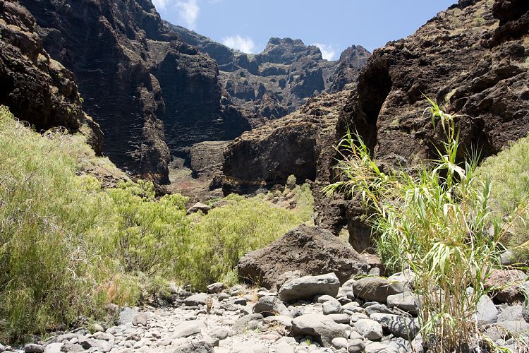 Barranco de Masca (Teneriffa - Barranco de Masca)