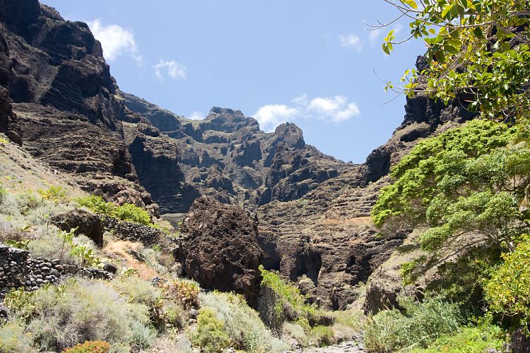 Barranco de Masca (Teneriffa - Barranco de Masca)