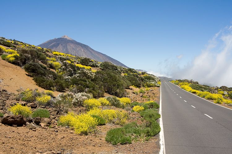 Beim Observatorium (Teneriffa - Canadas del Teide)
