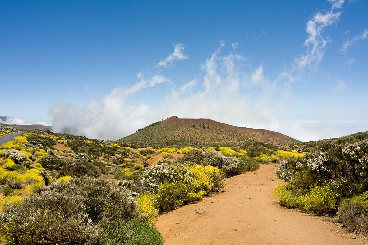 Beim Observatorium (Teneriffa - Canadas del Teide)