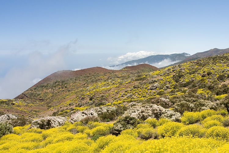Beim Observatorium (Teneriffa - Canadas del Teide)