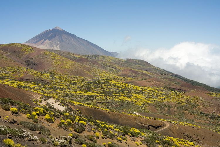 Beim Observatorium (Teneriffa - Canadas del Teide)