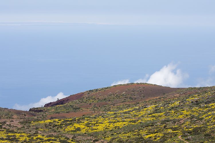 Beim Observatorium (Teneriffa - Canadas del Teide)