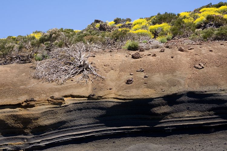 Beim Observatorium (Teneriffa - Canadas del Teide)